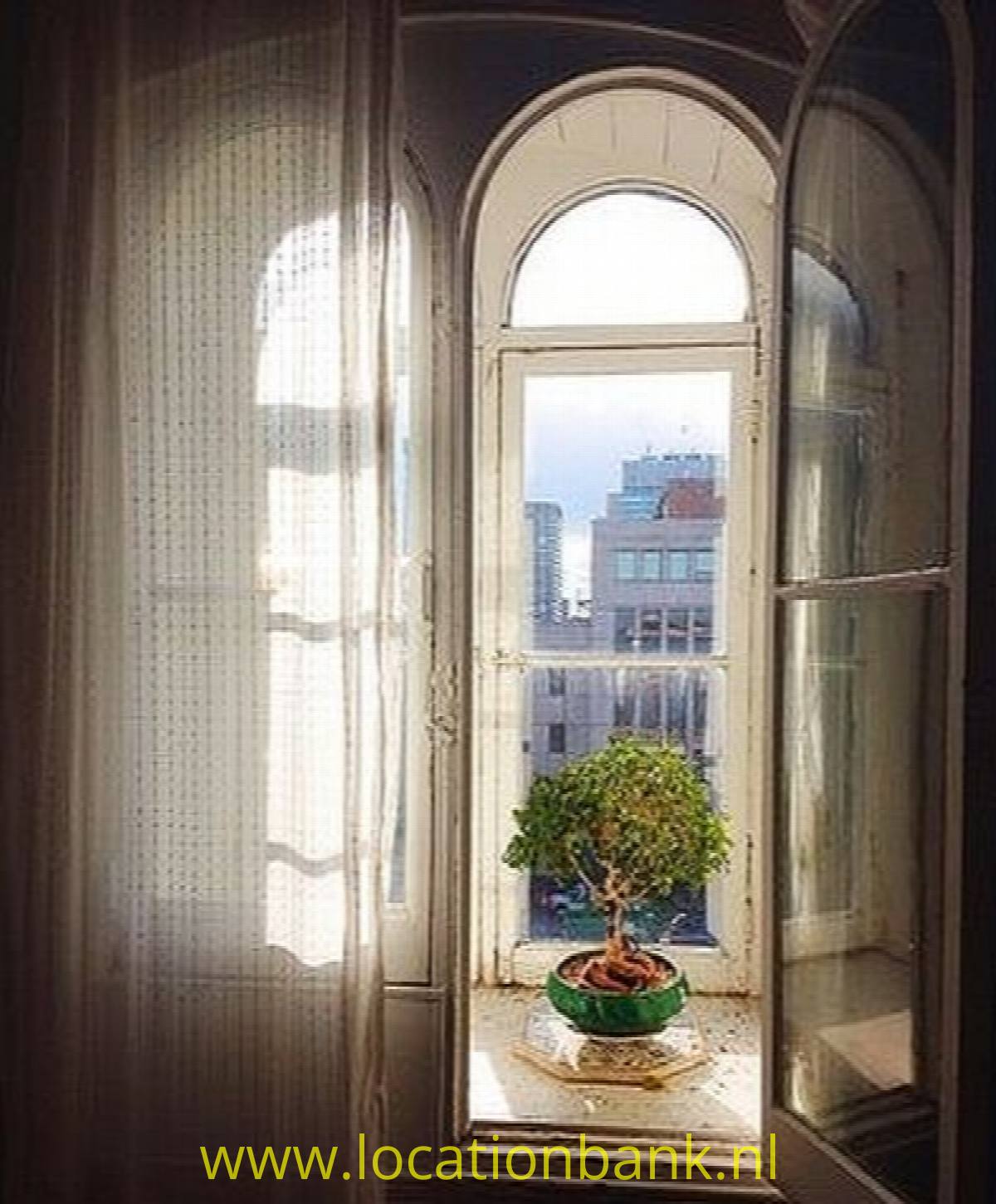 wooden windows