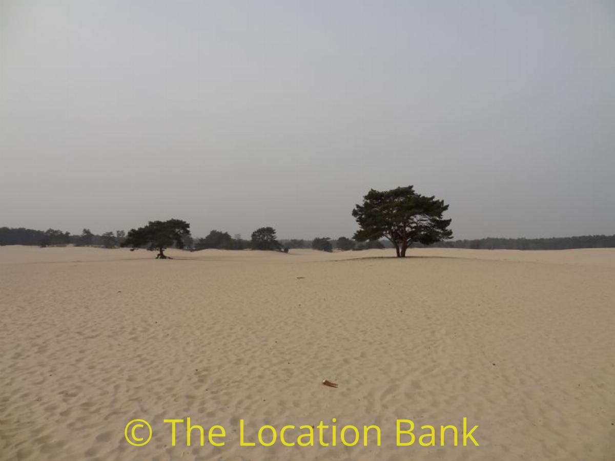 woestijn zandvlakte
