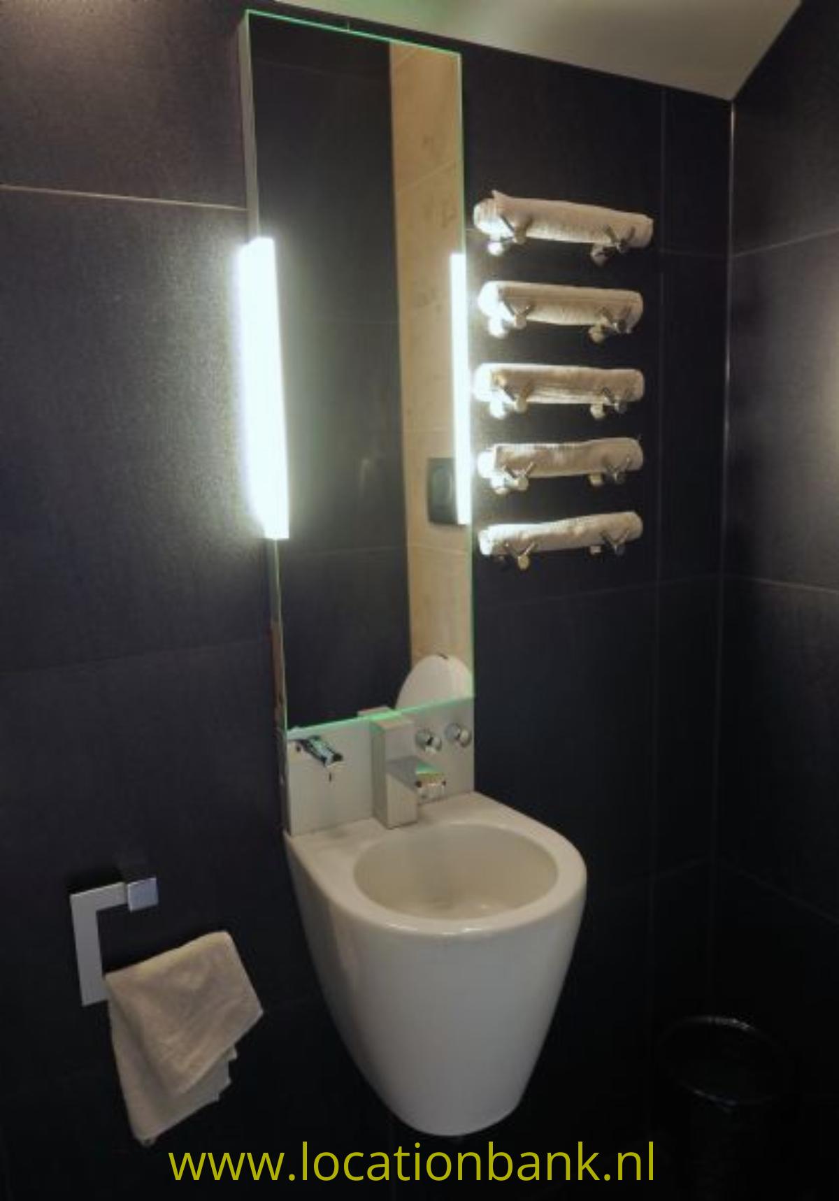 modern toilet