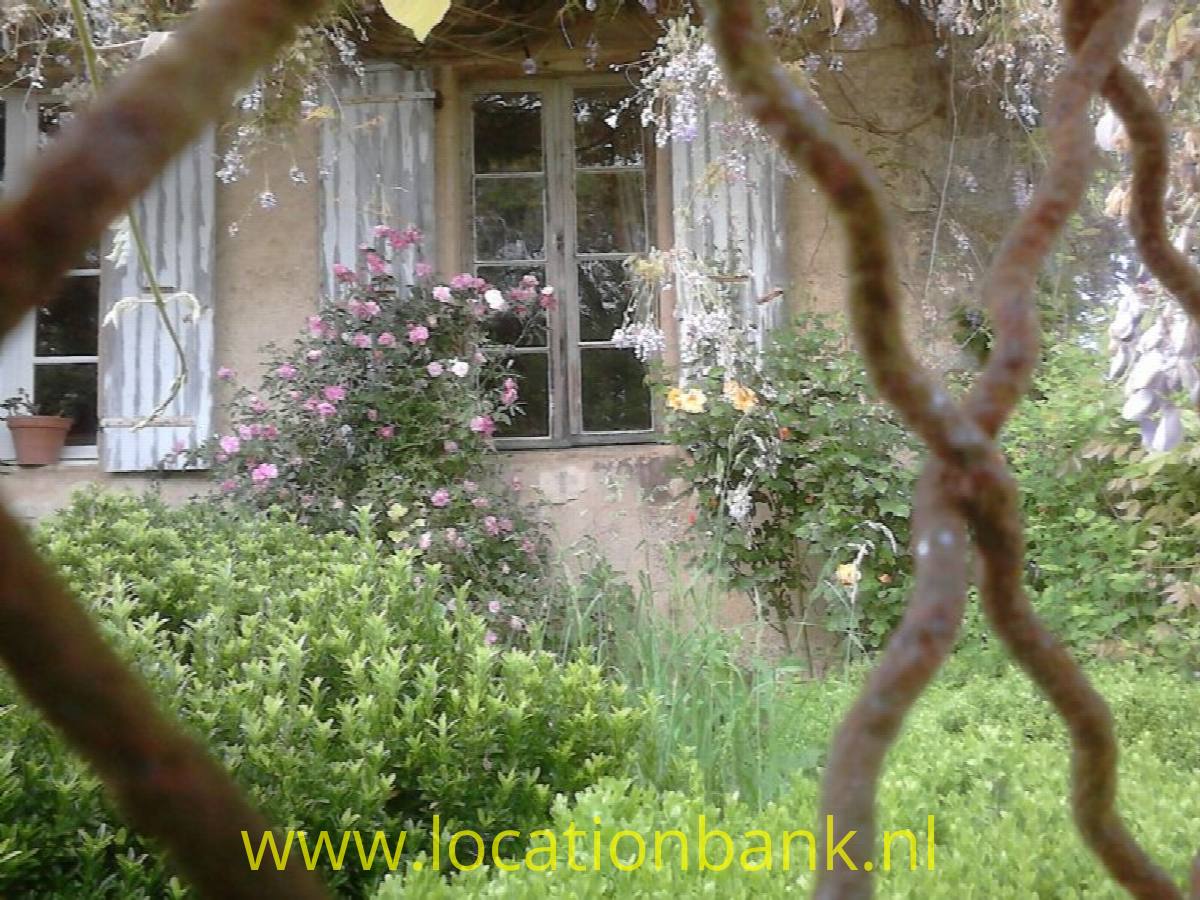 Front Garten