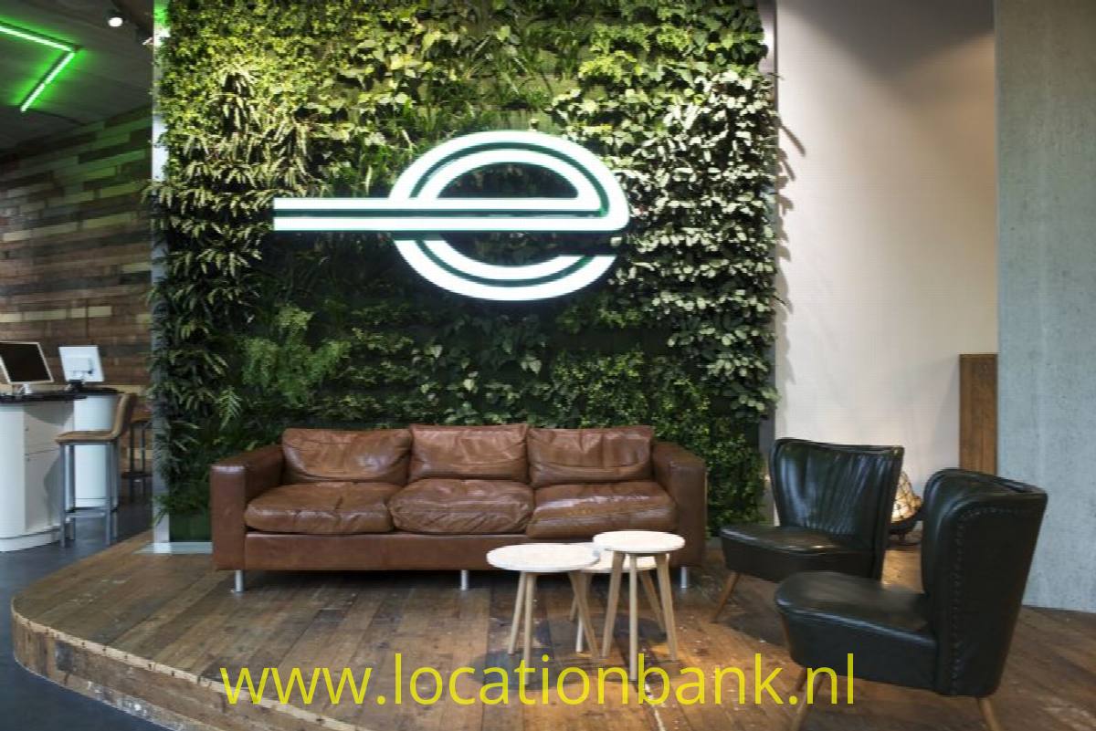 green B&uuml;ro