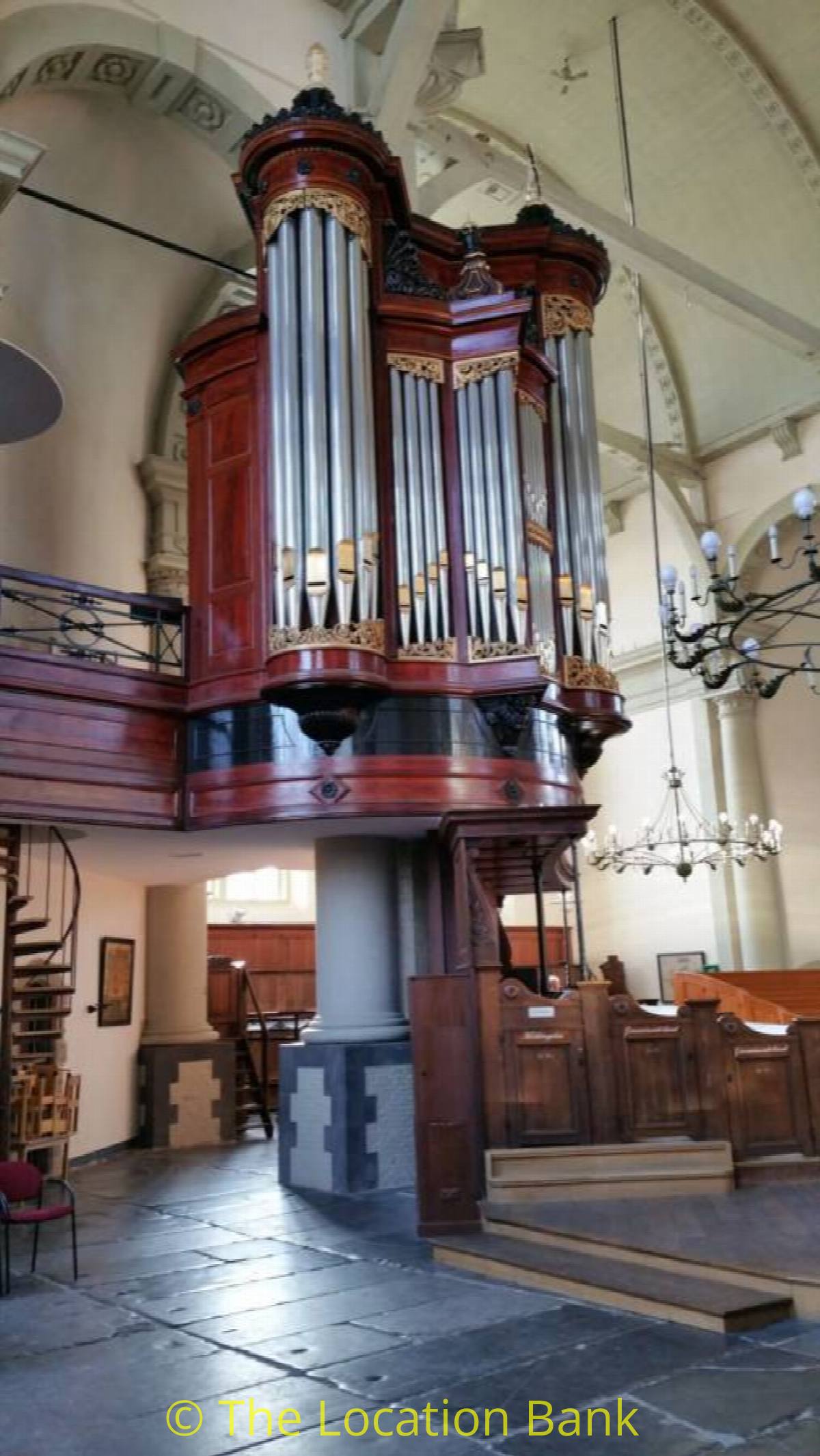 organ