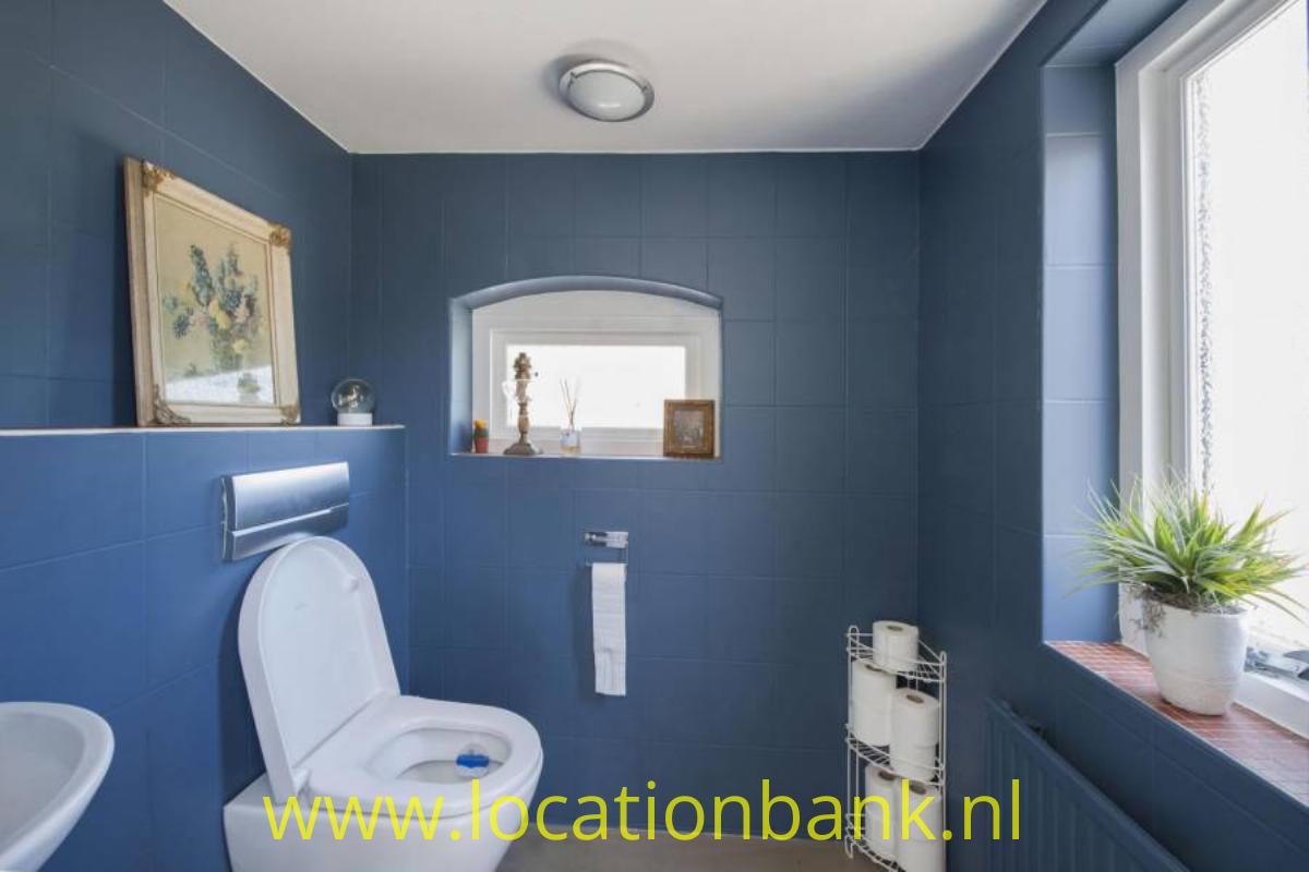 blauw toilet