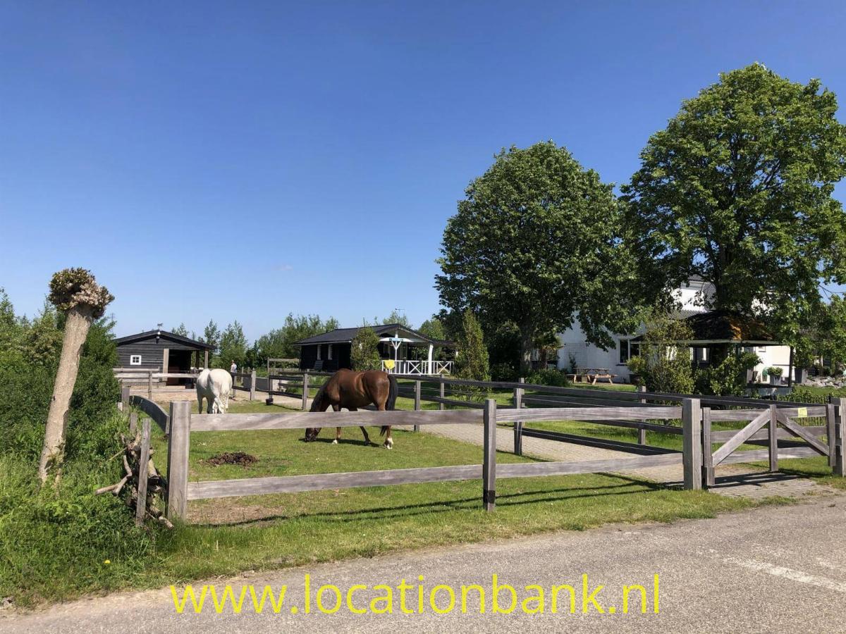 Paarden voorkant woning