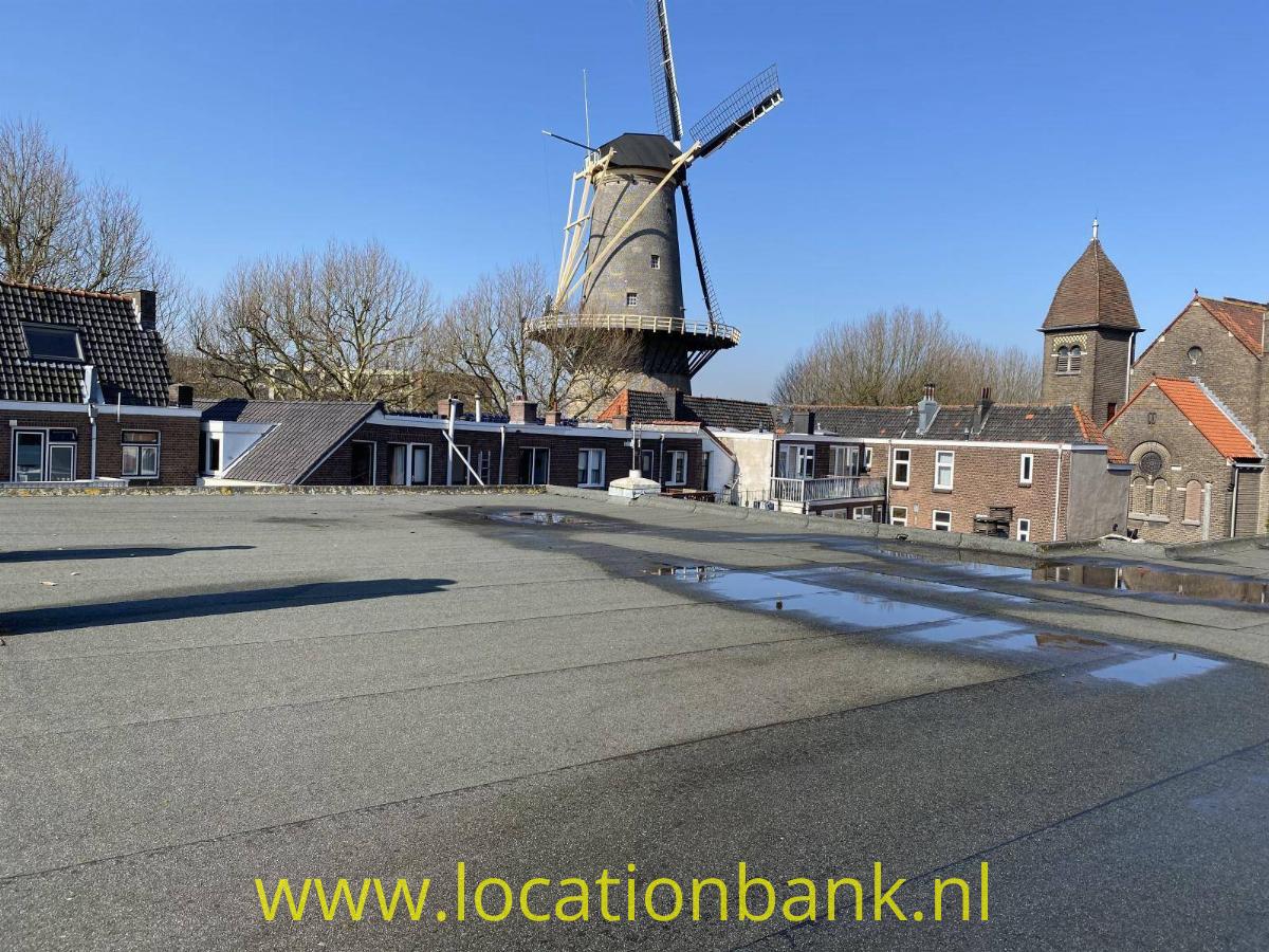 Groot dakterras me uitzicht op Molen de Walvis.