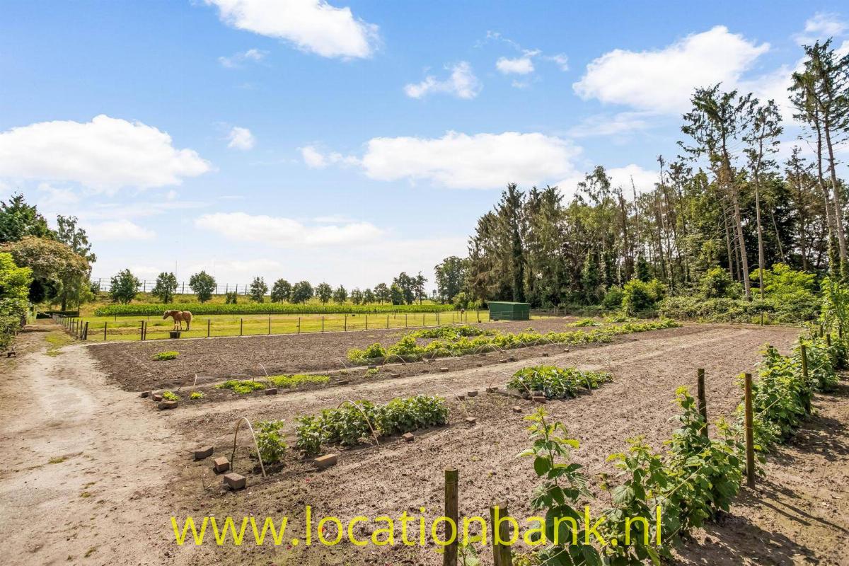 Twee paardenweien, moestuin, tuin