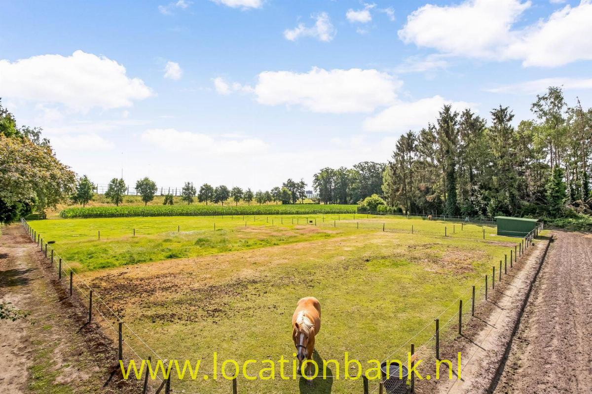 Twee paardenweien, moestuin, tuin