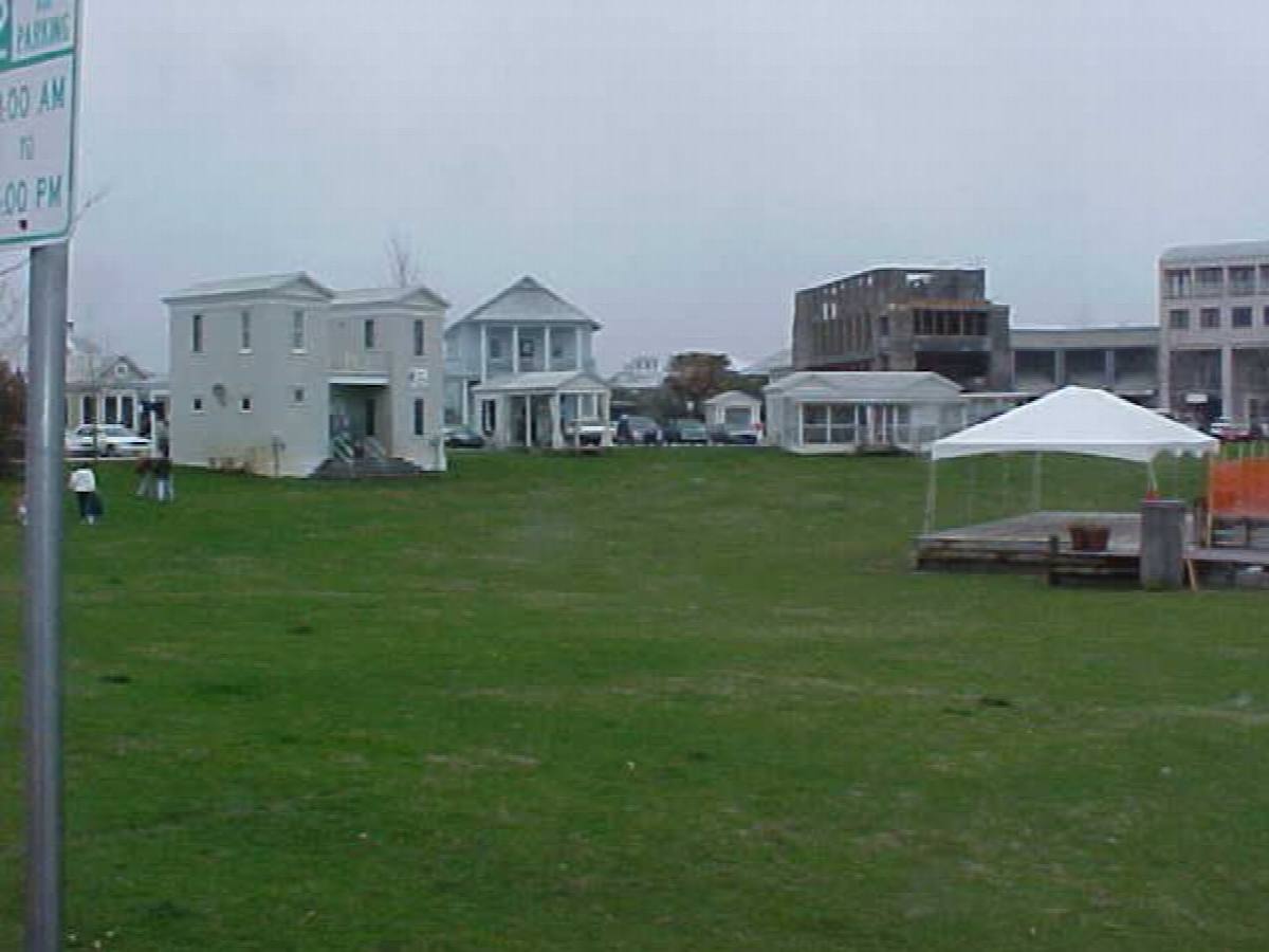 Lush Lawns