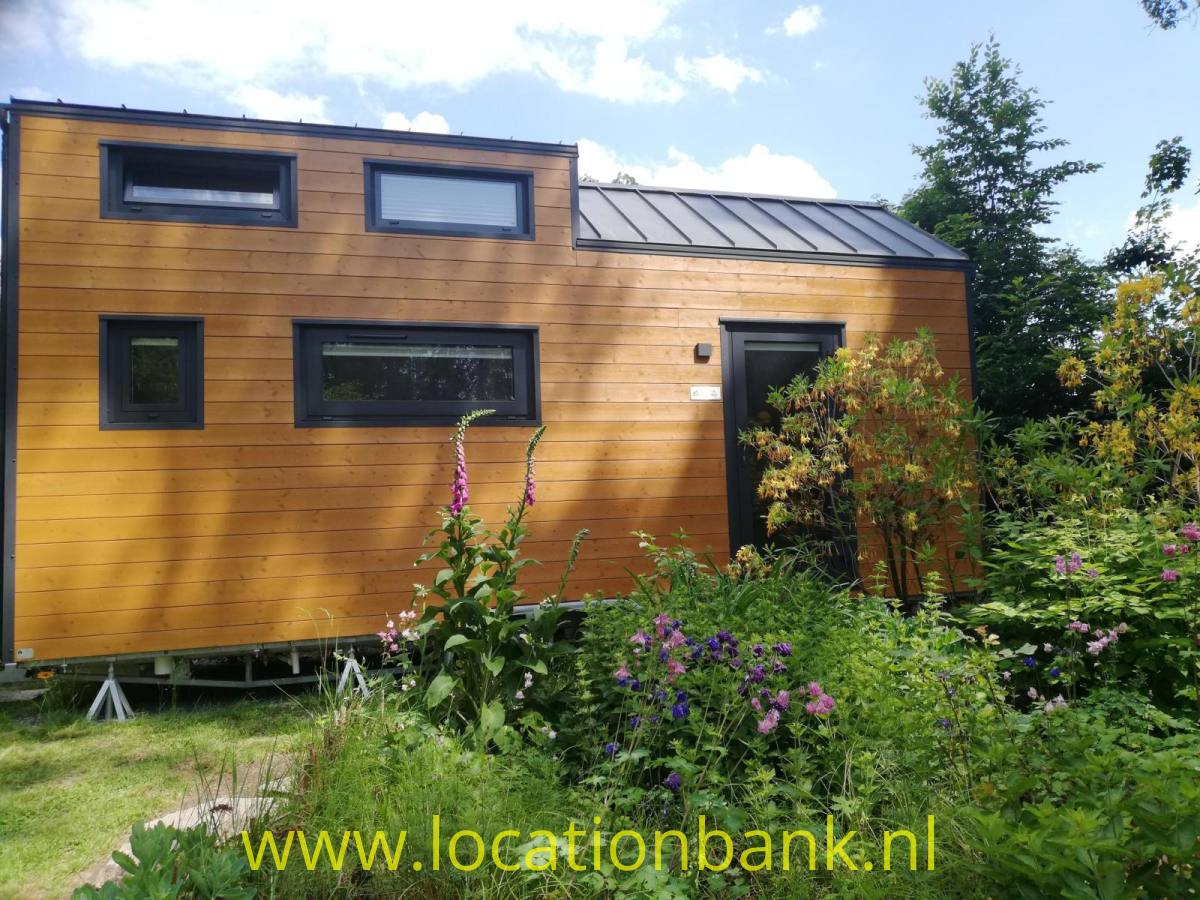 Kleines Holzhaus mit dunklen Fensterrahmen, einem Metalldach und einem dicht bewachsenen Garten.