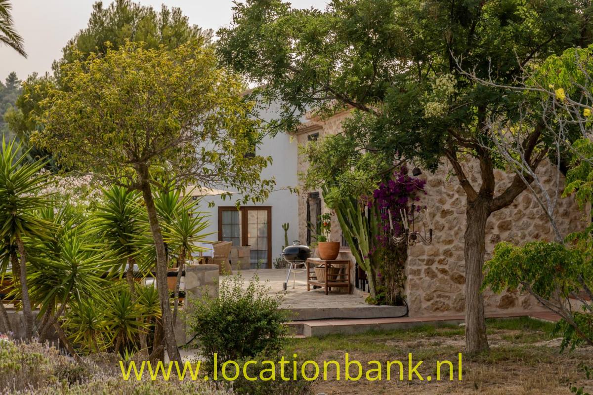 Garten mit Bäumen, Yuccas, blühenden Pflanzen und einer steinernen Gebäudefassade.