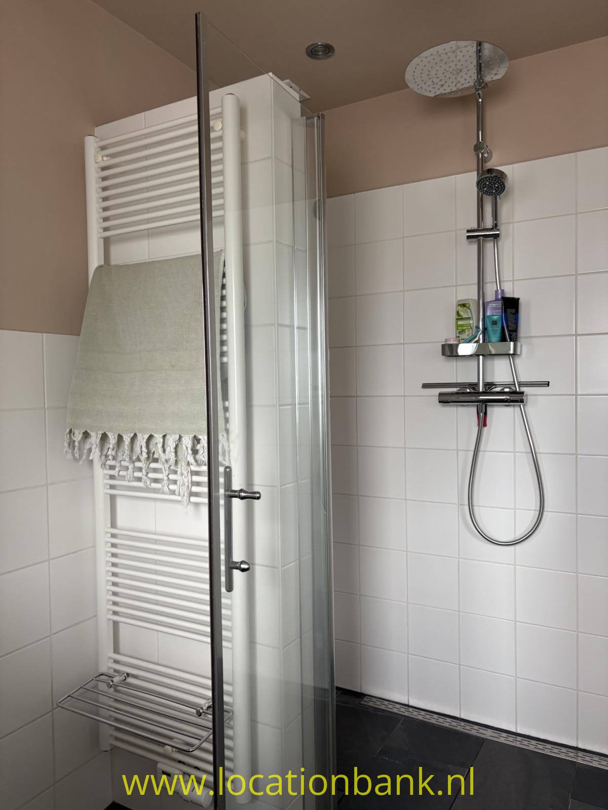 Bodengleiche Dusche mit Glastür, Handbrause und Regendusche neben einem weißen Handtuchheizkörper.