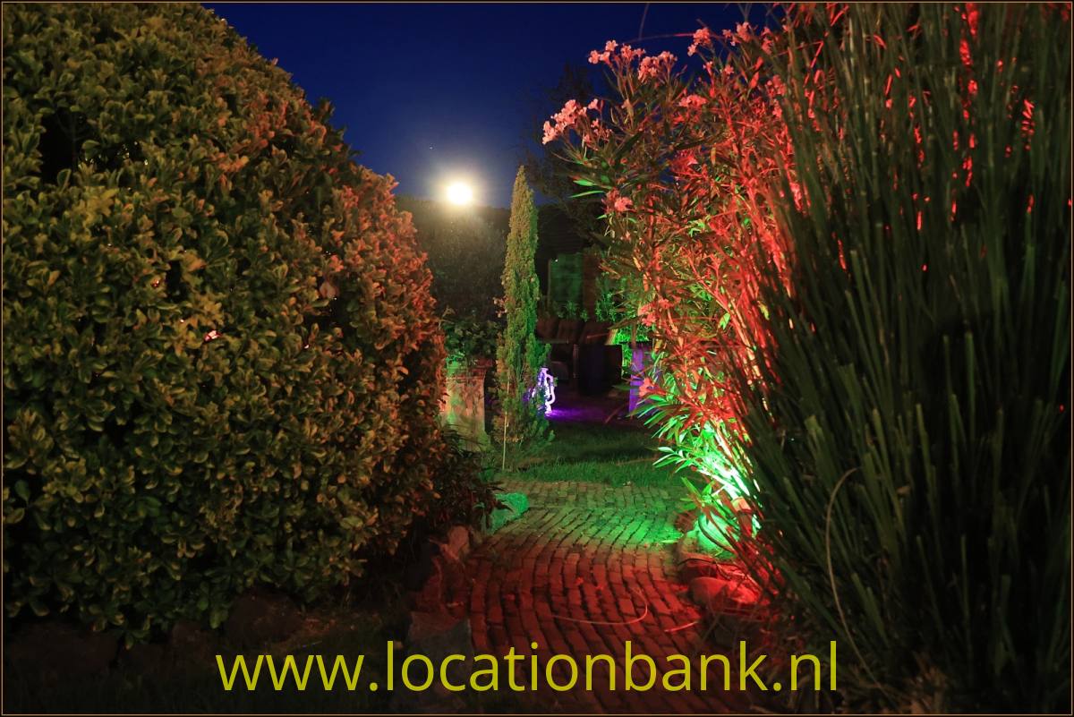 Ein beleuchteter Gartenweg aus Backsteinen verläuft zwischen hohen Hecken und Ziergräsern unter farbigem Abendlicht.