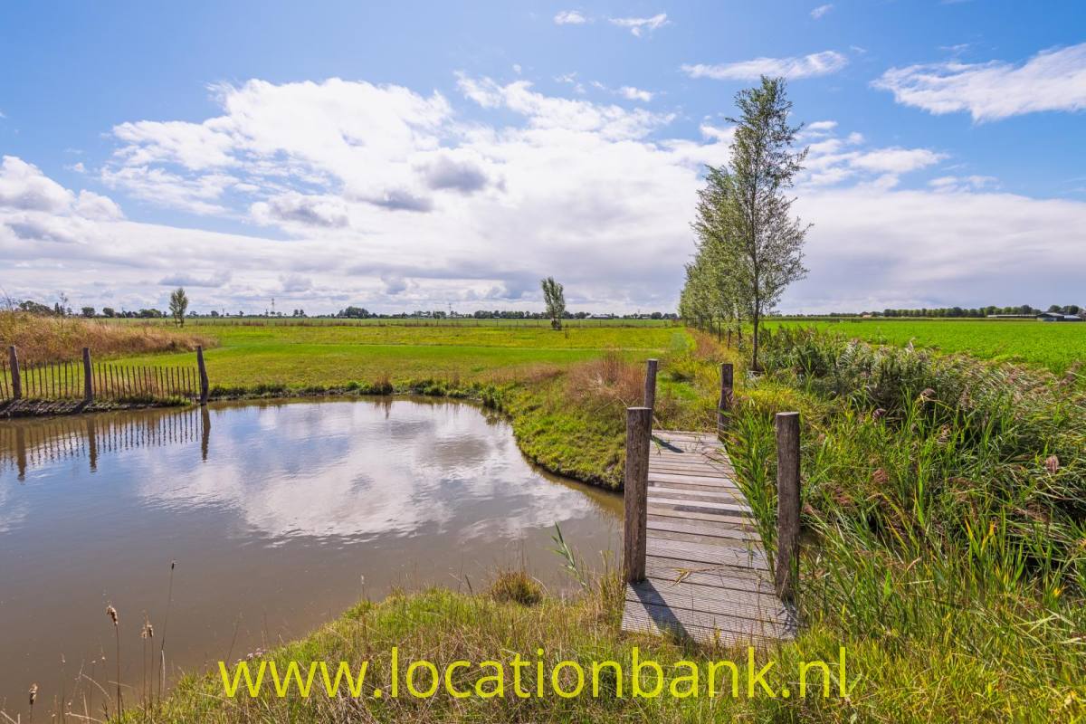Eine hölzerne Fußgängerbrücke führt über einen Wassergraben, umgeben von grünen Feldern, Schilf und einem Baum unter bewölktem Himmel.
