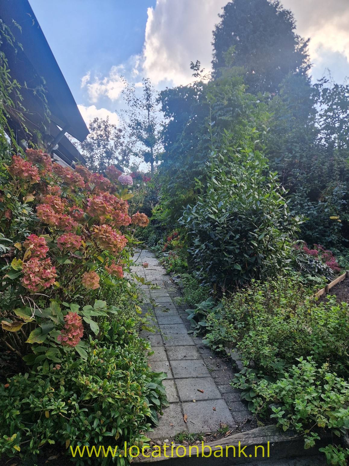 Ein schmaler gepflasterter Gartenweg verläuft zwischen blühenden Pflanzen und dichtem Grün.