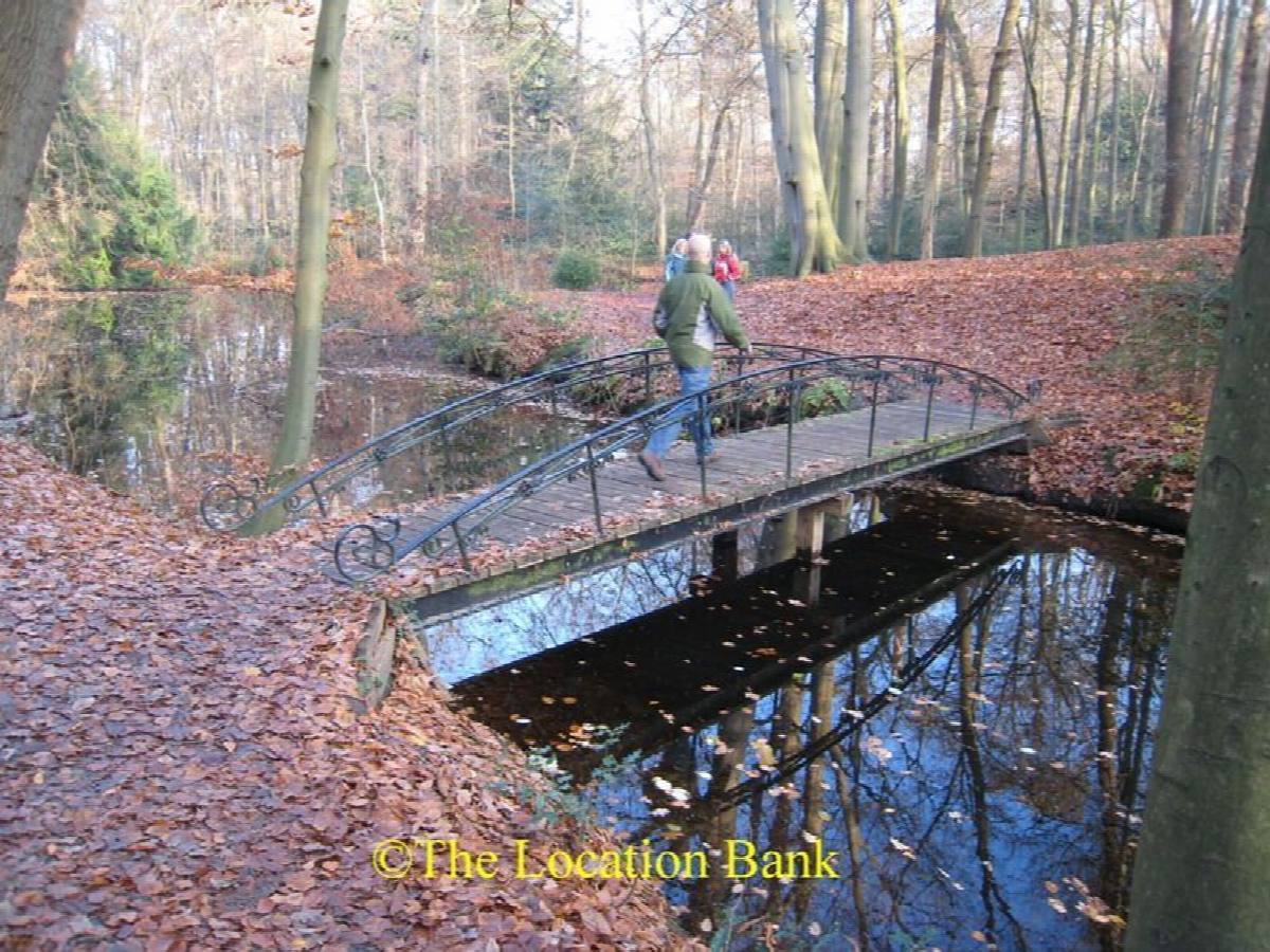 Forest foot Br&uuml;cke