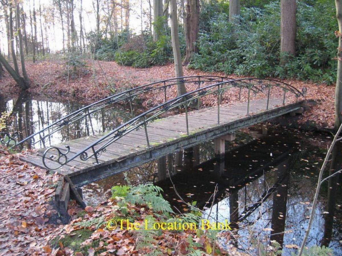 voetbrug in bos