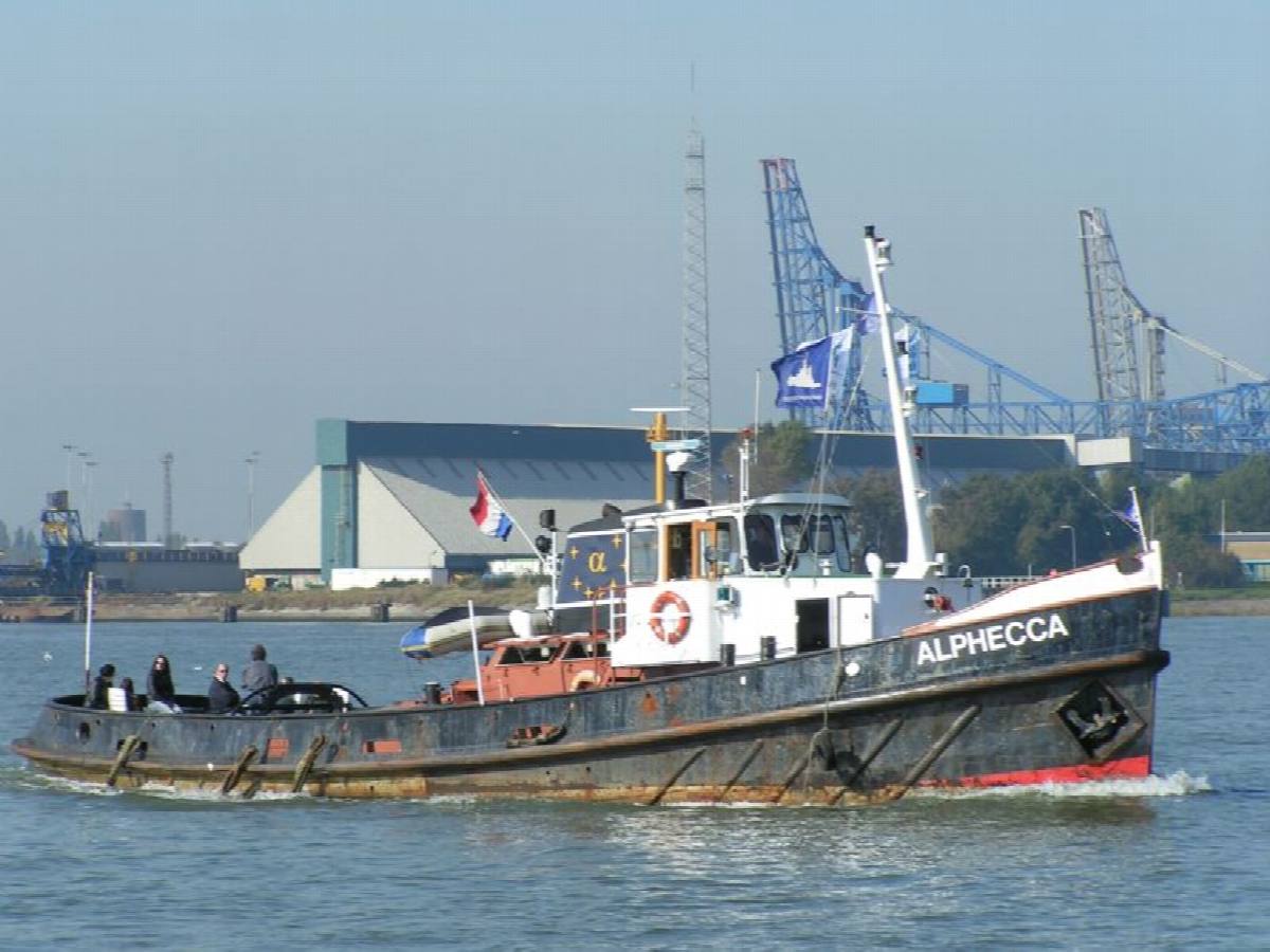 alphecca 3