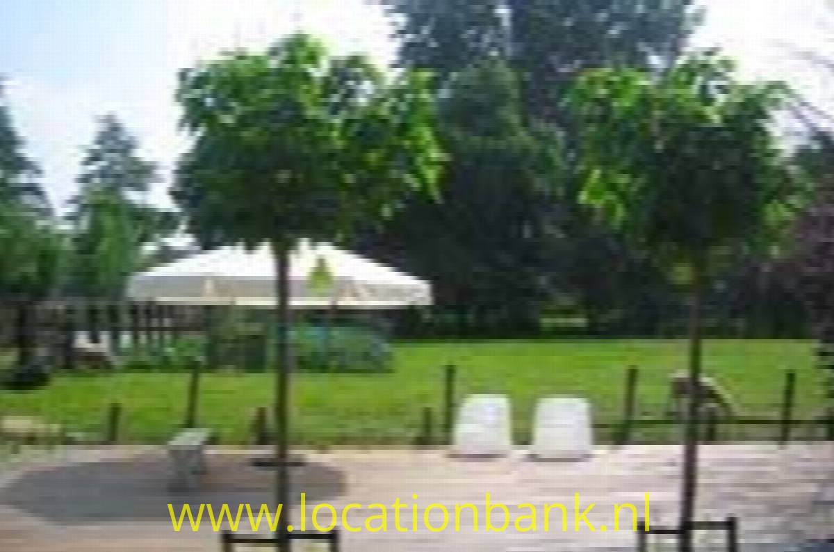 Terrasse und Garten