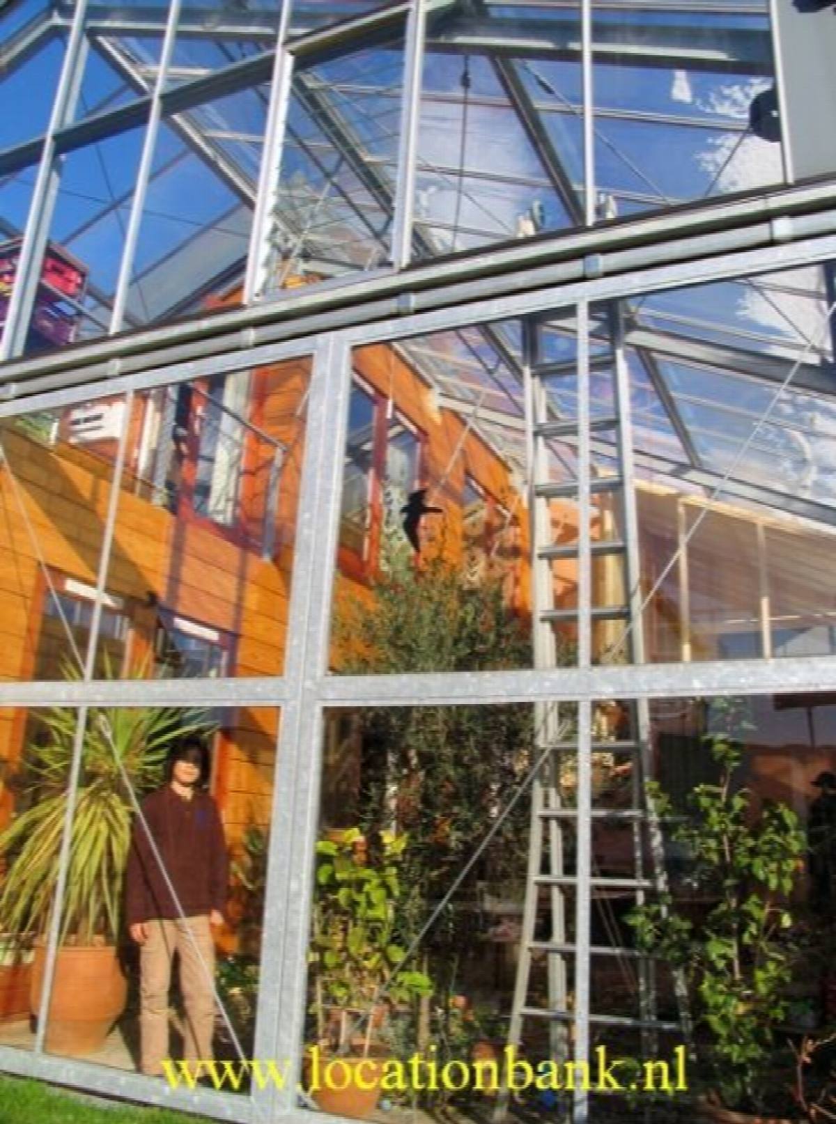 Huis met veel glas