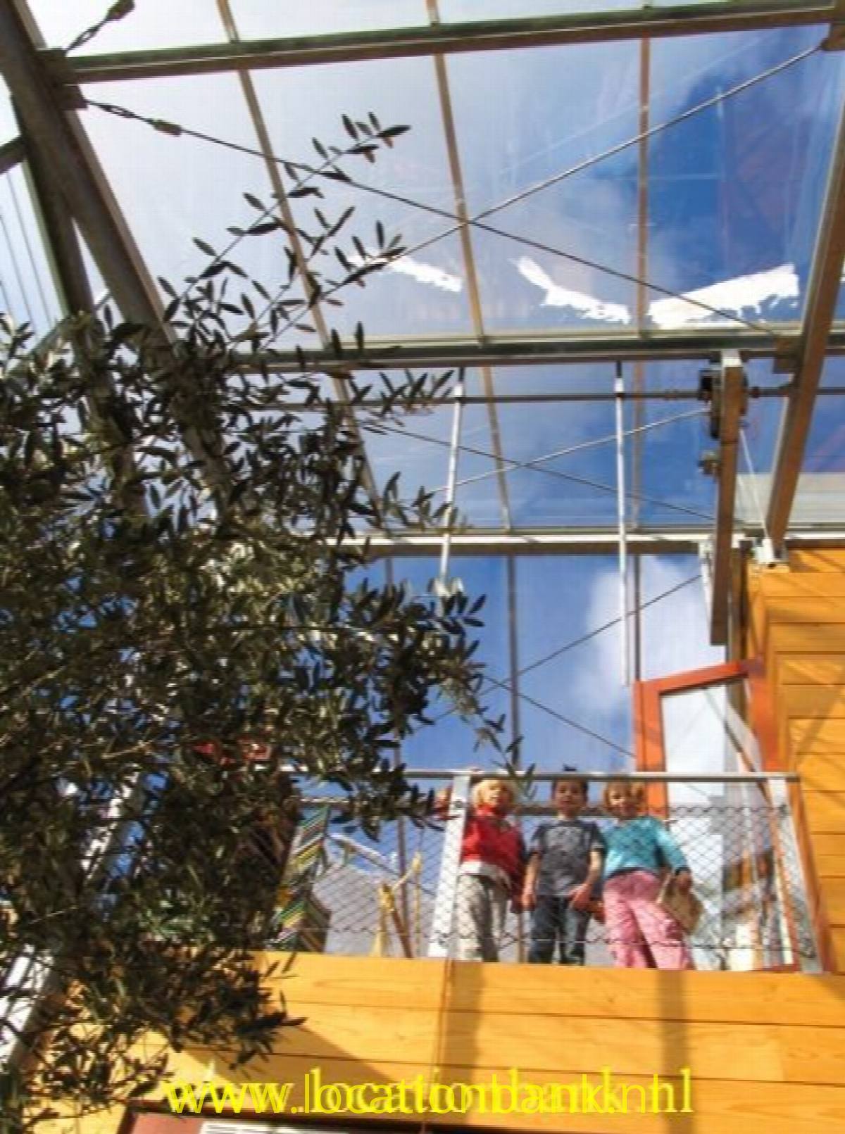 Huis met veel glas