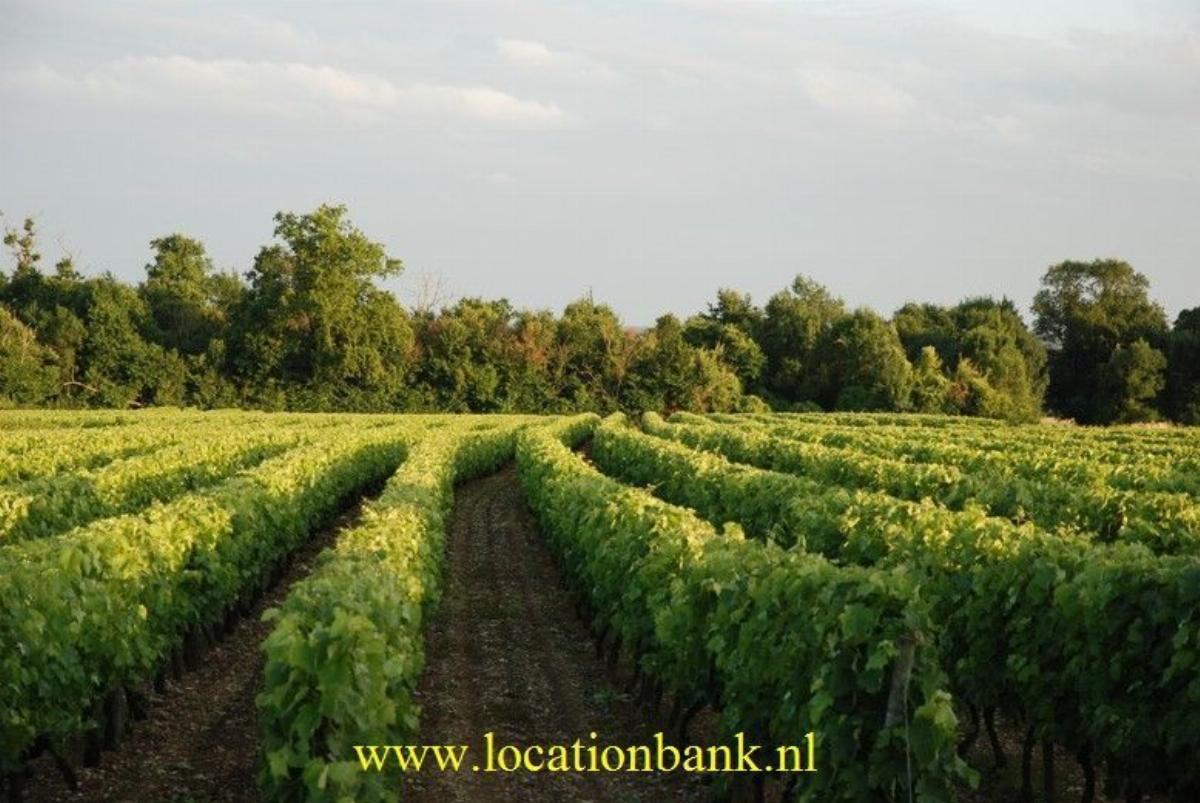 Uitzicht uit huis op frans platte land