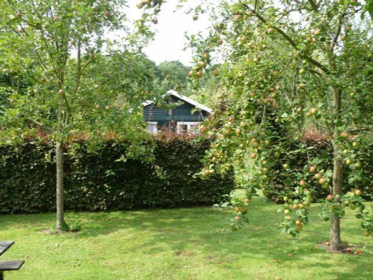 orchard
