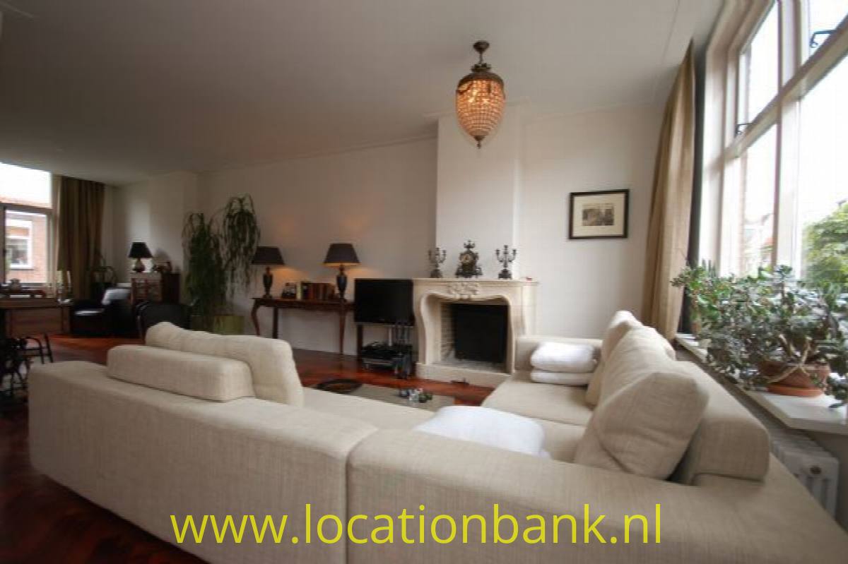 Living Zimmer mit fireplace