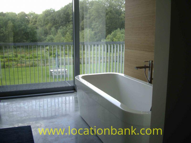 bathroom with a view