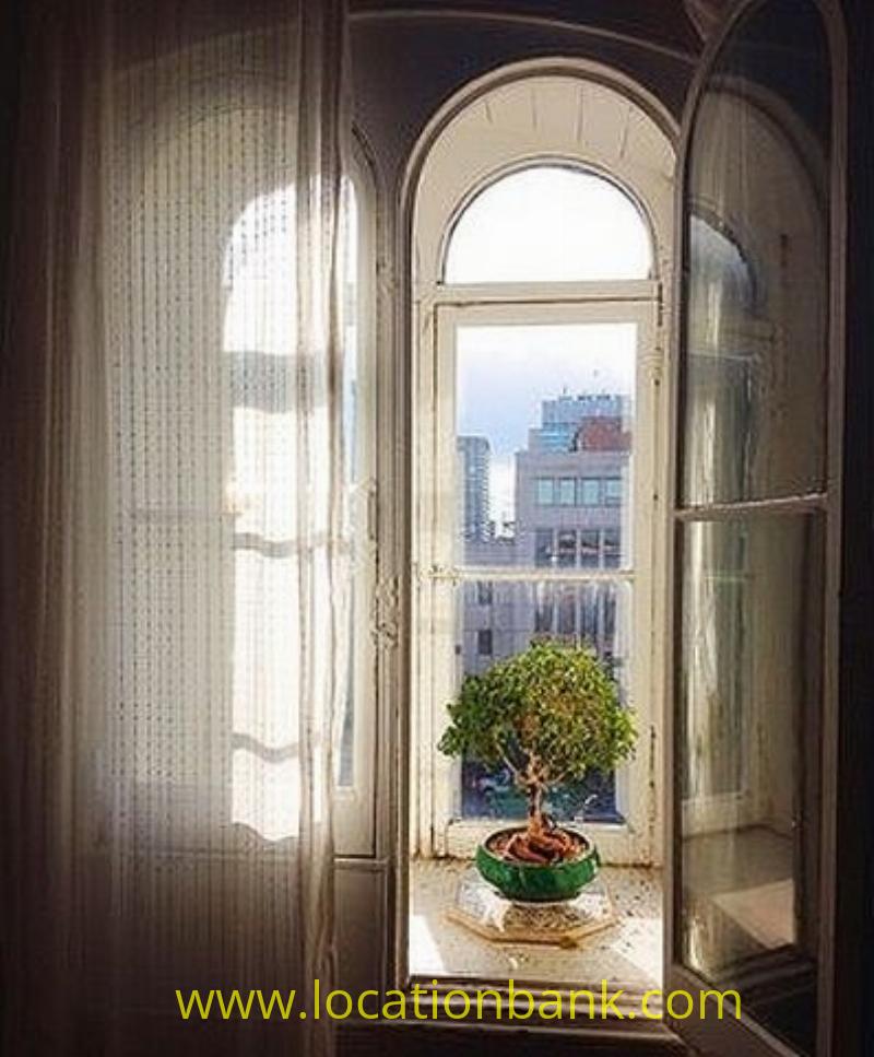 wooden windows