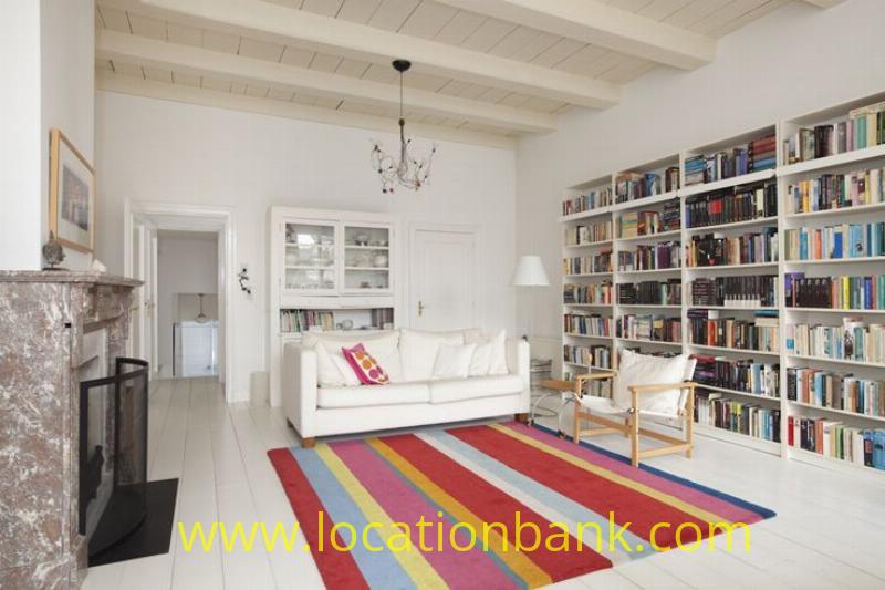 white living with fireplace and library