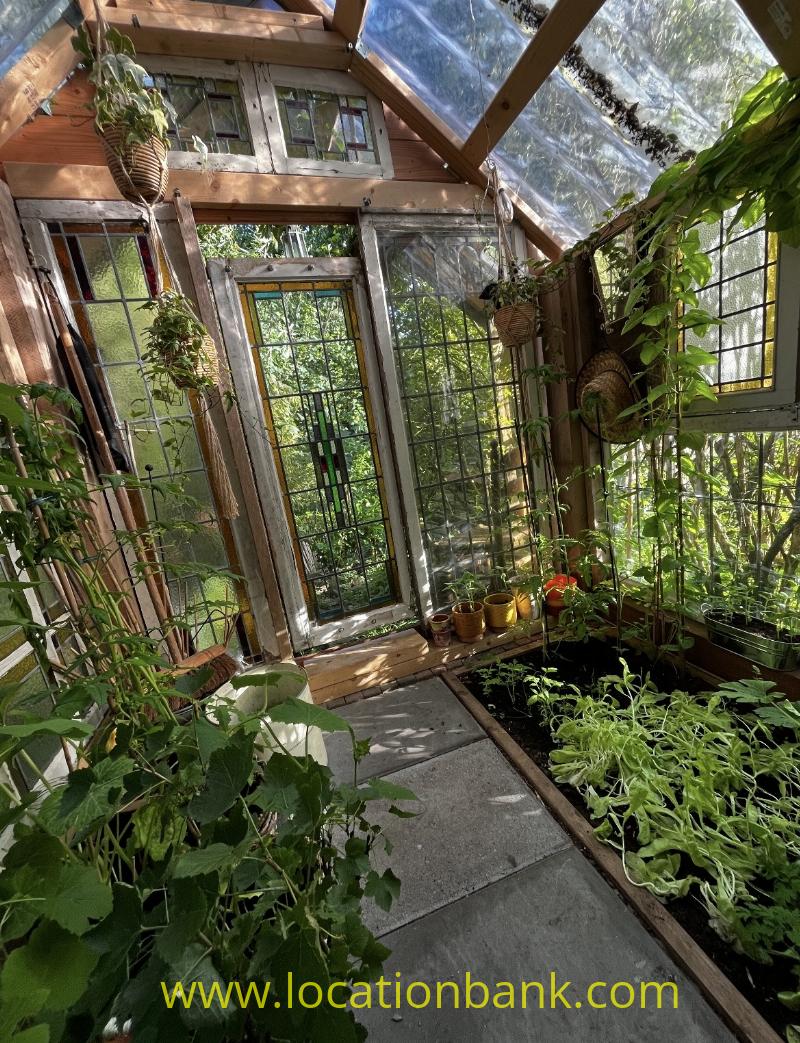 Glass greenhouse with wooden beams, hanging plants, flowerpots and densely planted beds.