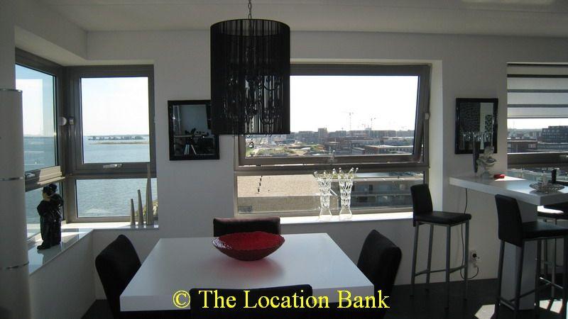 Apartment or loft with a view