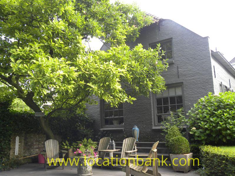 garden with terrace