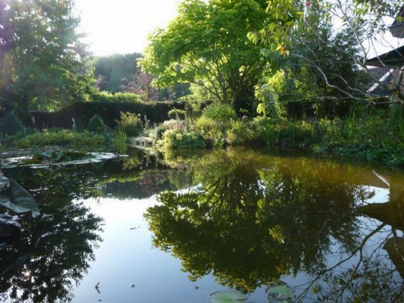 garden;pond
