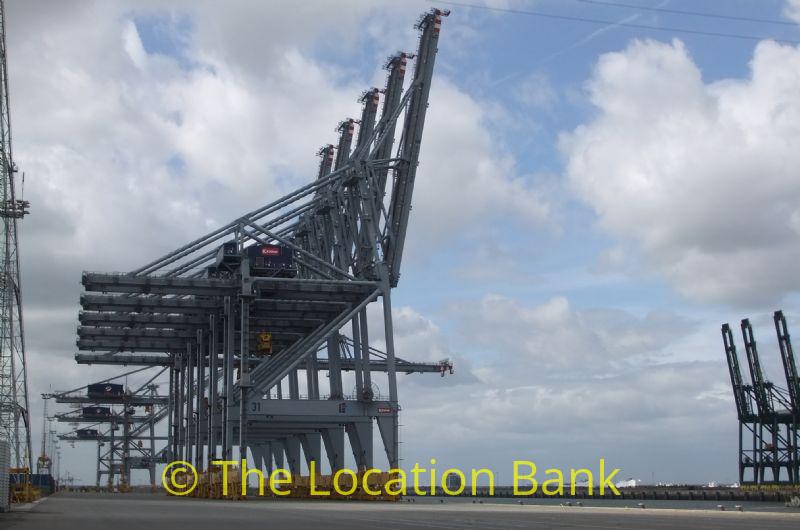 Harbour or container terminal with cranes