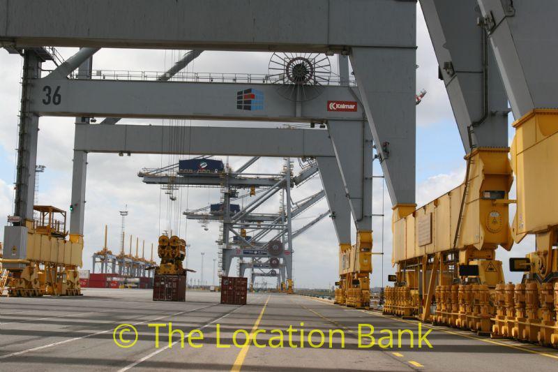 Harbour or container terminal with cranes