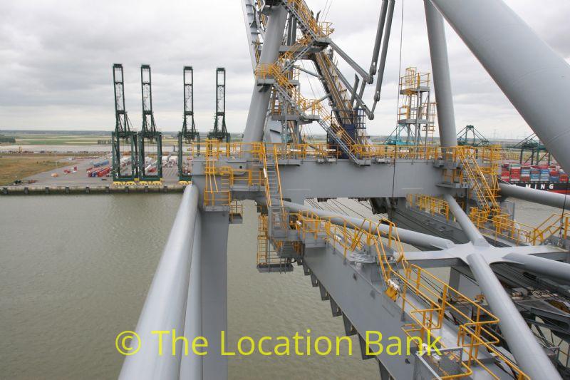 Harbour or container terminal with cranes