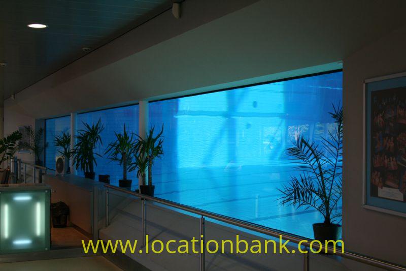 Swimming pool with underwater window