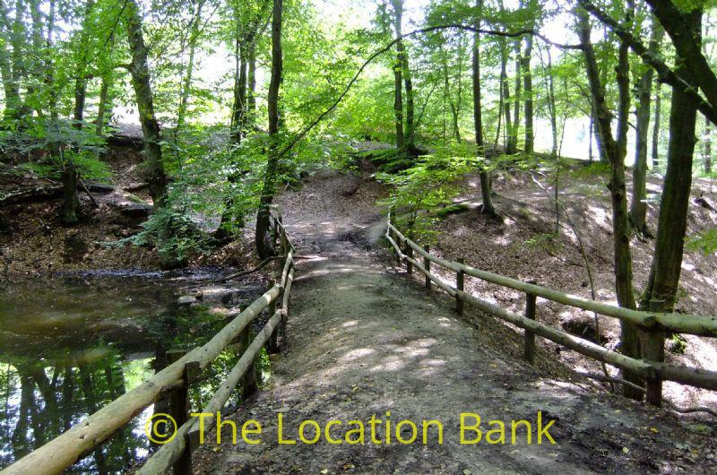 Forest mit little pond und Brücke