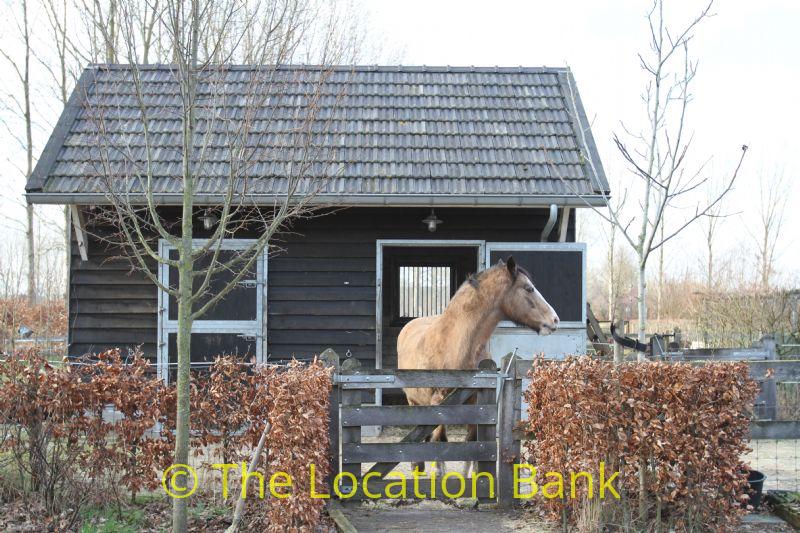 horse stable