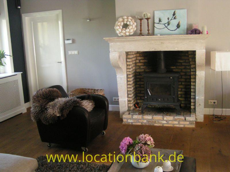 Living mit fireplace