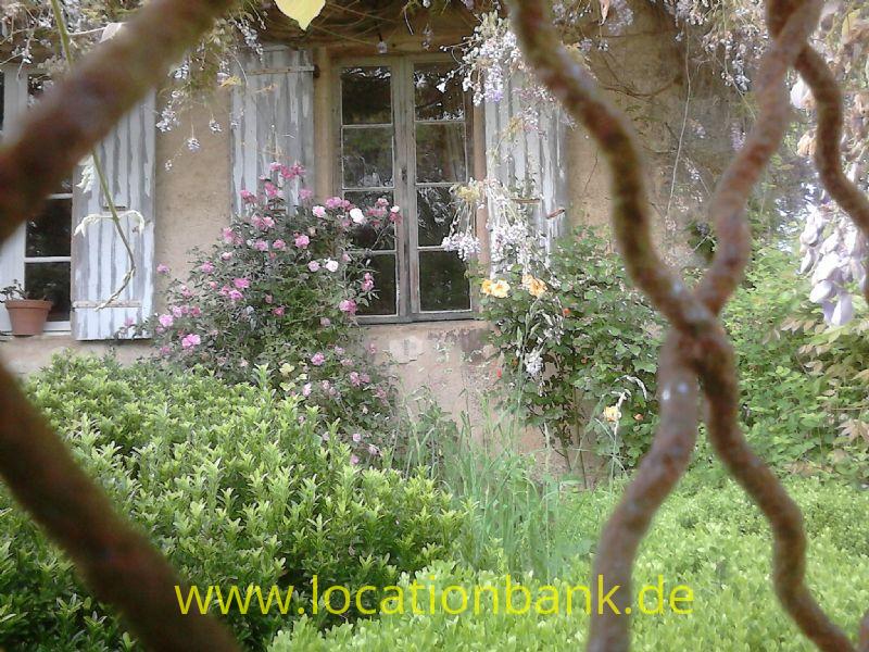 Front Garten