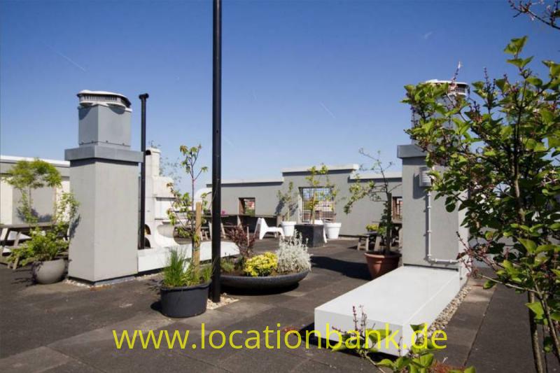 amsterdam roof Garten