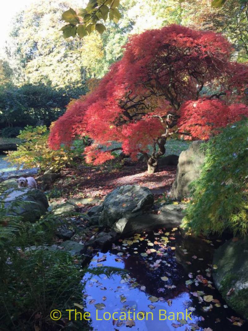 japanese Garten