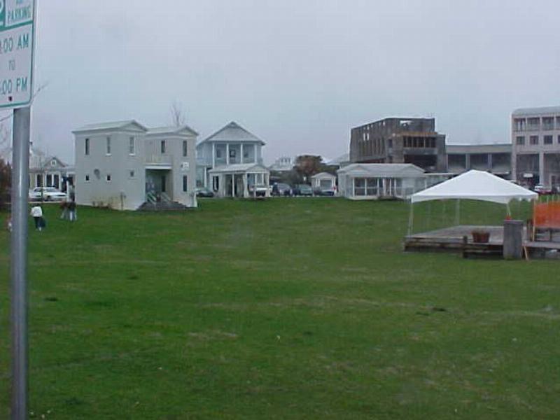 Lush Lawns