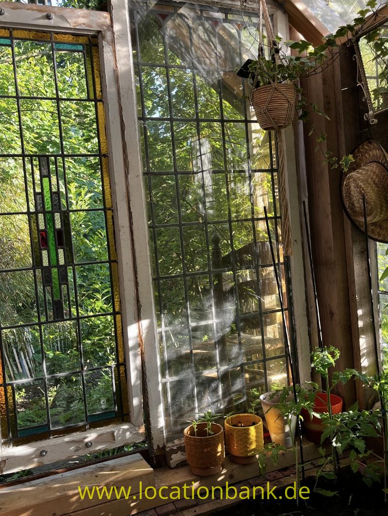Hohe Fenster mit Metallsprossen zeigen grünes Laub draußen neben Topfpflanzen und geflochtenen Körben in einem Raum mit Holzwänden.