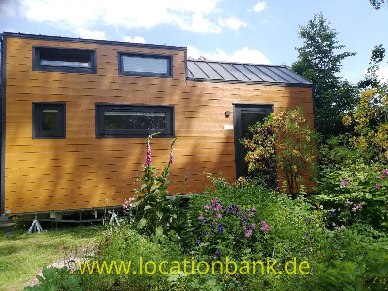 Kleines Holzhaus mit dunklen Fensterrahmen, einem Metalldach und einem dicht bewachsenen Garten.
