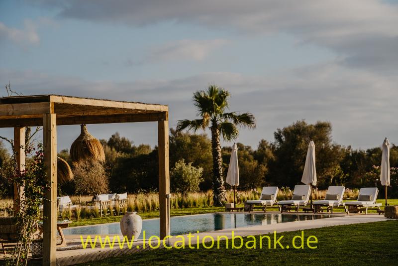 Schwimmbecken mit zusammengeklappten Sonnenschirmen, Liegestühlen und einer Palme neben einer Holzpergola mit einem hängenden Korb.