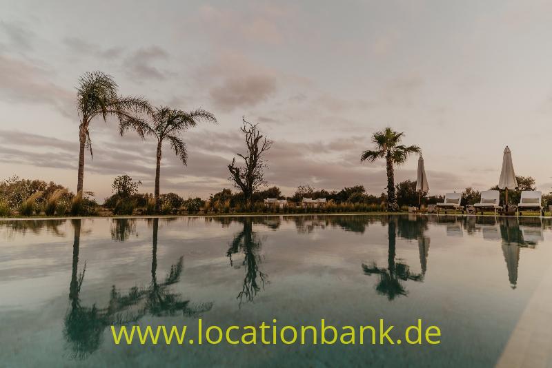 Ein spiegelnder Pool mit Palmen, einem kahlen Baum und geschlossenen Sonnenschirmen am gegenüberliegenden Rand.