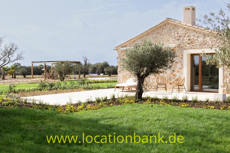 Steinhaus mit einem Olivenbaum, Blumenbeet und Rasen sowie Feldern und einer Holzpergola im Hintergrund.